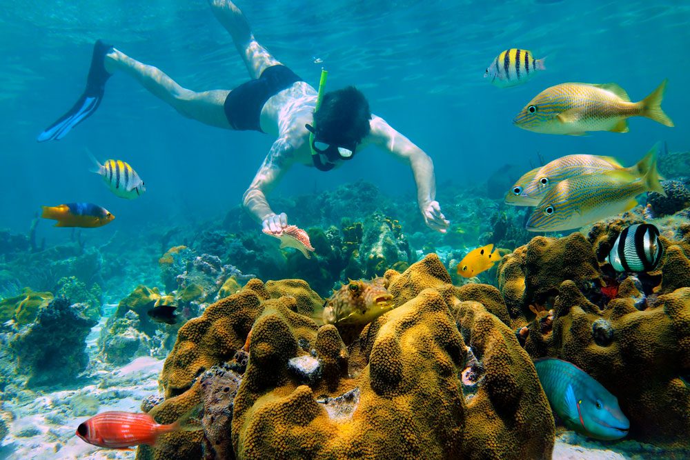 Onde se hospedar em Cancún: Zona Hoteleira, Centro ou Riviera Maya