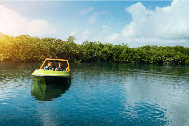 Jungle Tour
