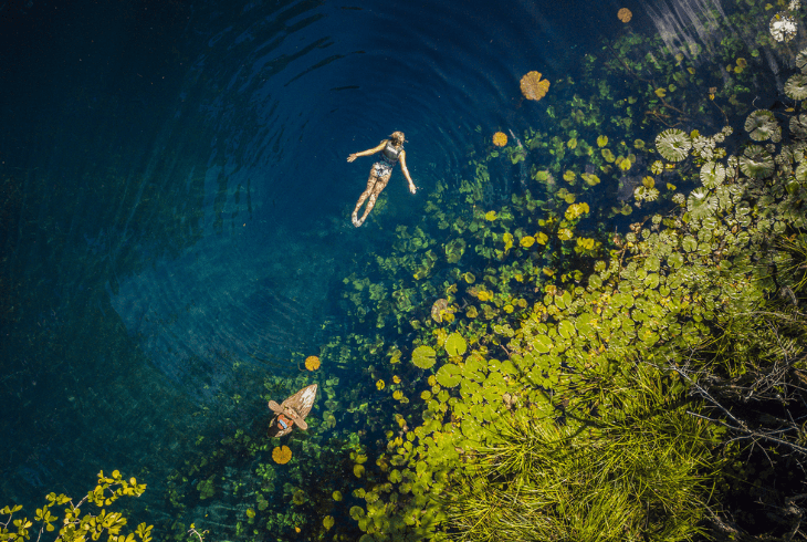 Xenotes