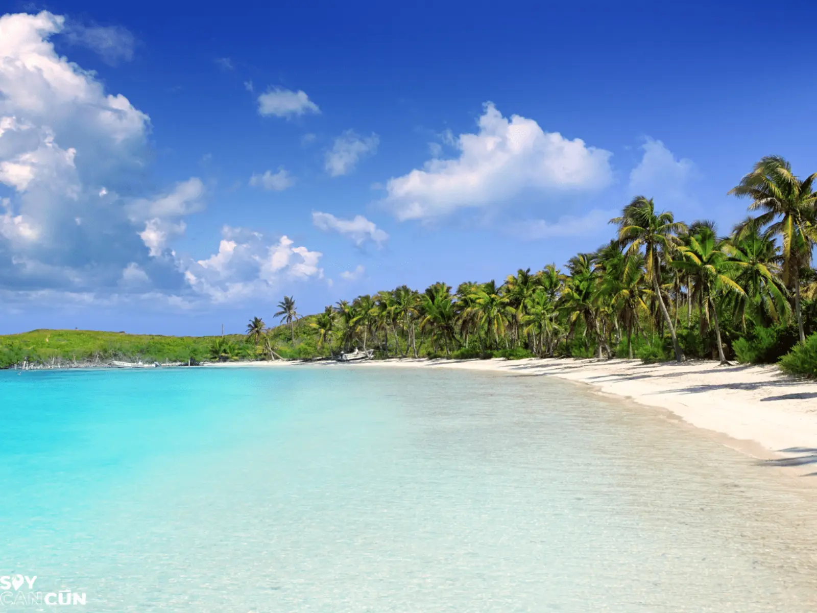 Isla Contoy