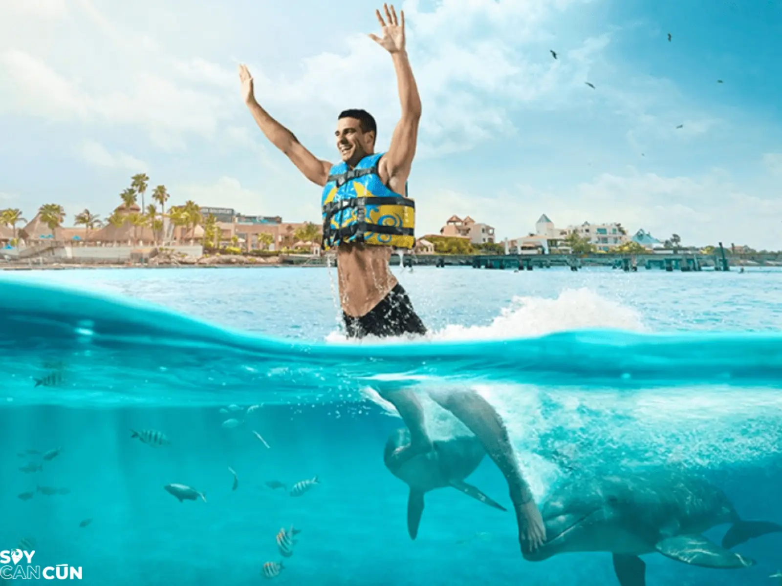 Golfinhos em Isla Mujeres